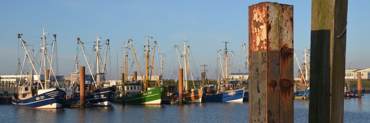 Fischereiverein Norddeich e.V.